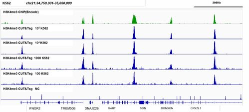 《Hi-FiRush》全光谱挑战S评价攻略：高效技巧解锁新境界