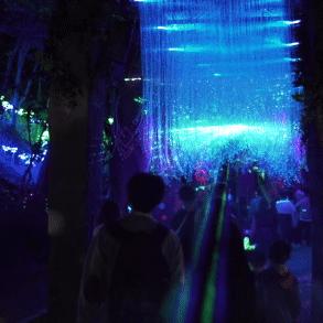 探索遗忘之海：沉浸式冒险游戏类型揭秘新体验