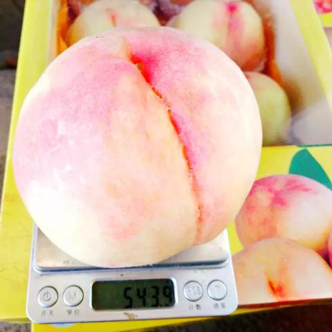 《燕云十六声》新文热议，评论区骂声如潮，揭秘游戏编辑如何应对挑战