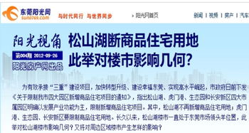 盛大密保A8，2025年账号防盗终极屏障？权威实测揭秘！