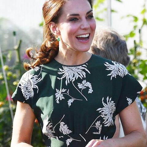 优雅之约隐藏秘密，专家揭秘如何快速通关并获稀有奖励？