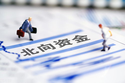 2026年首波“国补”资金揭秘：625亿重磅来袭，价值新篇章！