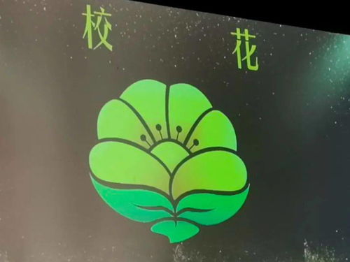 2026首场发布会大揭秘，真好玩游戏抢先看！