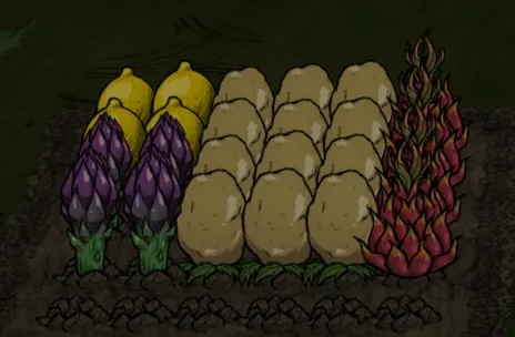 《饥荒》种植攻略：揭秘高效巨大作物搭配技巧