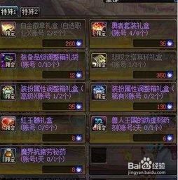 冬日鲁德米拉养成攻略：技能加点与装备优化指南