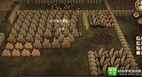 春雨来袭，掌握《饥荒》雨季生存秘籍！