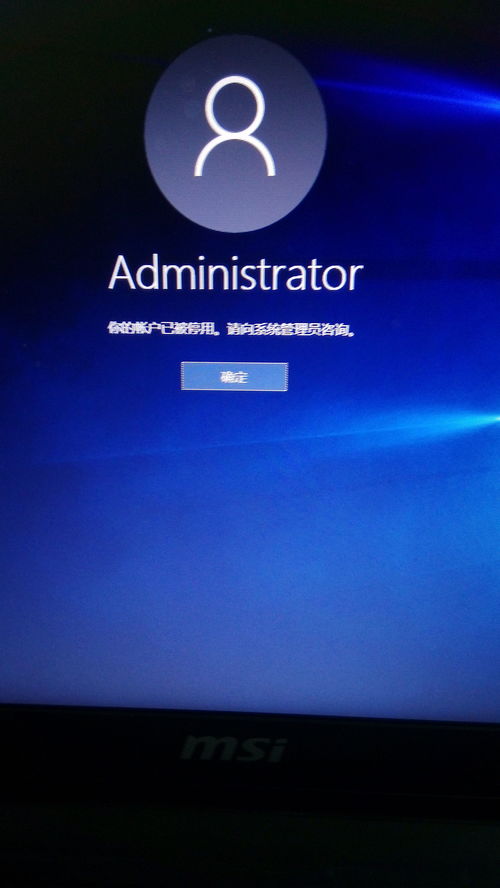 显卡新霸主50系崛起，Win10系统稳如磐石！