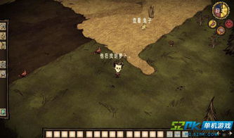 海难开局生存攻略：轻松掌握《饥荒》温和季生存技巧