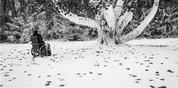 雪诺演员怒斥权游第八季重拍：观众请愿愚蠢，理性何在？