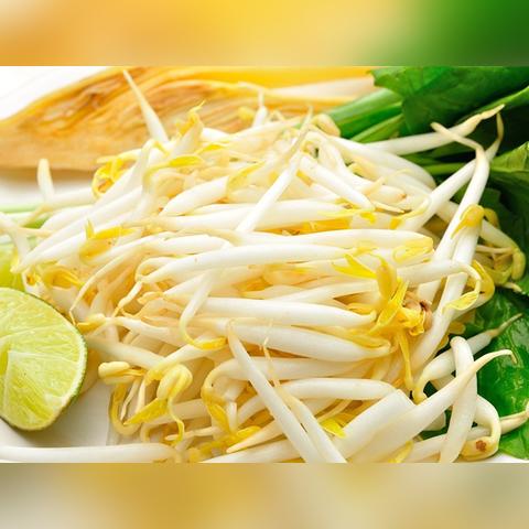 30天催熟秘籍：西红柿变身豆芽，美味升级！