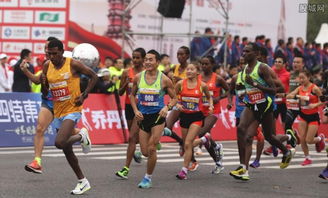 《马拉松》新作大揭秘：七大职业惊艳亮相，颠覆传统竞技体验！