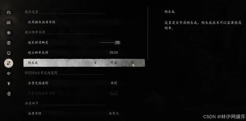 黑神话悟空DLSS 4.5 vs FSR 4：极低画质战，新价值领先显著
