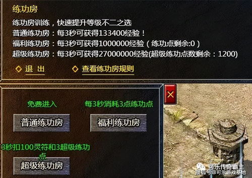 传奇3，2026年秘技曝光，新手如何逆袭成服务器霸主？