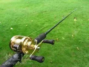 《鸭科夫钓鱼攻略》揭秘：鱼竿获取与鱼类刷新点详览