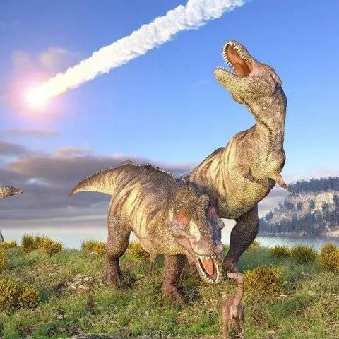 龙之股，新手必看的万倍收益策略还是资本陷阱？