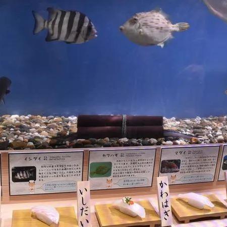 活鱼寿司隐藏buff曝光？老玩家私藏的3个技巧让你深渊满星