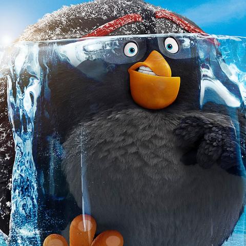 经典回归！全新体验愤怒小鸟官网揭秘攻略