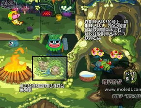 摩尔庄园黑森林还藏着这些？2024独家隐藏路线+精灵捕捉技巧，老玩家都惊了