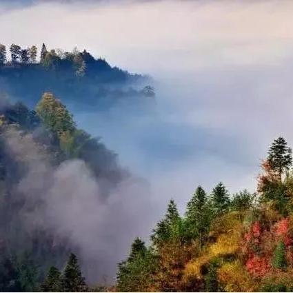 《明日方舟》武陵碳块蓝图攻略：深度解析稳定碳块新价值