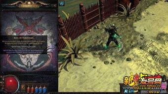 流放者柯南，沙漠活不过3天？遗忘之城隐藏BOSS刷新规律曝光，史诗装备唾手可得？