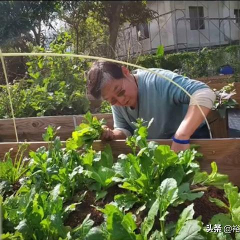 极致割草狂潮！《菜园无双》Demo爽度升级体验新巅峰