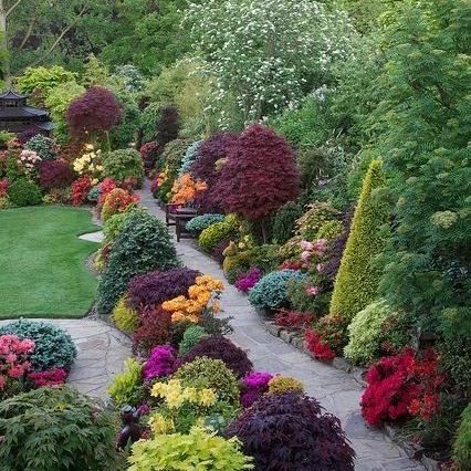 植物大战僵尸：深度体验，花园战争上手攻略解析新视角