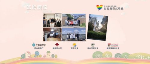 彩虹岛官方下载入口何在？2024权威推荐安全通道！