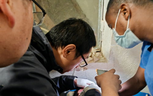 惊险！医术高超，医生妙手回春救颅底筷子伤者，守护生命奇迹！