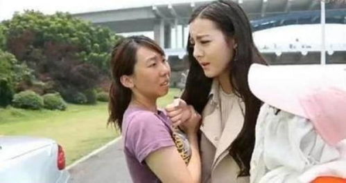 金晨车祸事件深度解析：揭秘明星遭遇，安全意识新启示