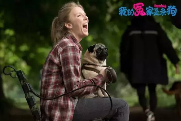 苍老师学狗萌态曝光，神秘眼镜女囧图新视角揭秘！