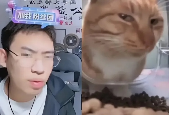 前任全家养尊处优，揭秘“听泉鉴宝送房”舔狗新境界