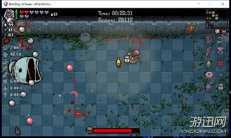 《以撒结合胎衣》全角色深度解析：打造最强胎衣攻略秘籍