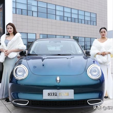 长城奇遇记：外国游客为撸猫专程而来，体验独特猫文化