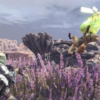 《怪物猎人世界》全装备外观攻略秘籍大公开