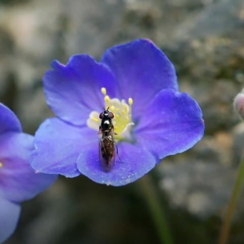 暗黑攻略，2026赛季速通隐藏秘境的3个冷门操作，90%玩家都不知道？