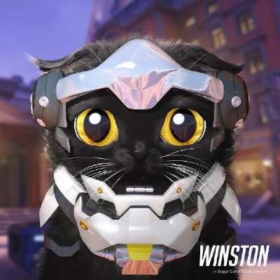 猫咪英雄引众怒！守望先锋新角色竟涉嫌虐待无辜？