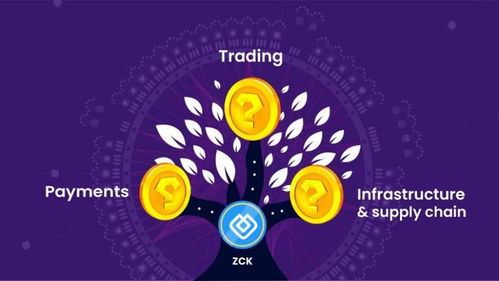 马年好运卡功效解析：解锁神秘新价值