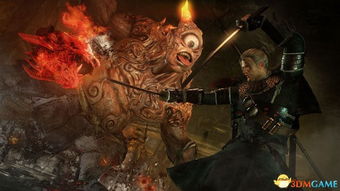 仁王3新手快速开荒攻略：高效入门指南，轻松掌握新境界