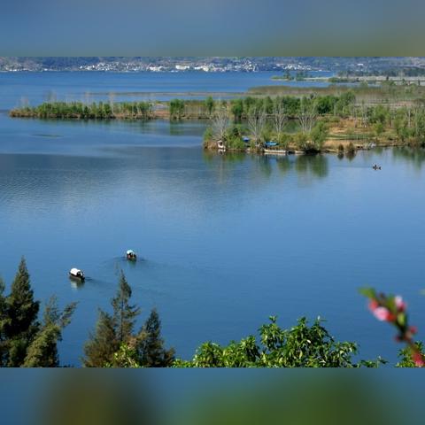 休闲时光通用兑换码，2026年长期有效汇总秘籍揭晓